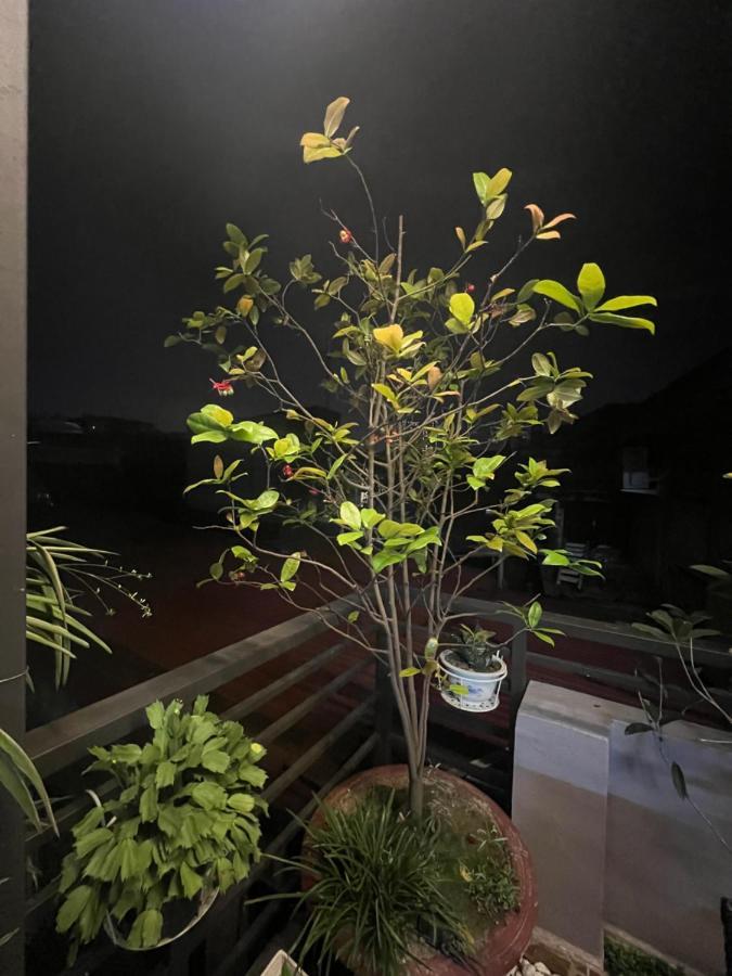 Sunflower Homestay Hai Phong Buitenkant foto